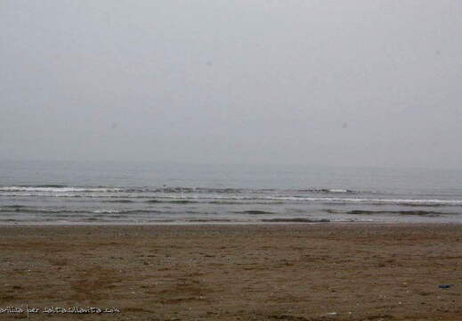 Rimini   (122)