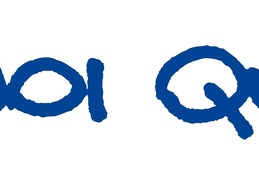 Logo Noi QUI